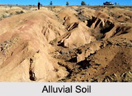 Indian Soil