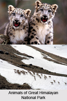 Great Himalayan National Park