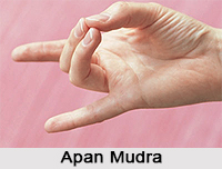 Apan Mudra