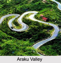 Araku Valley, Andhra Pradesh, Tourism in Andhra Pradesh