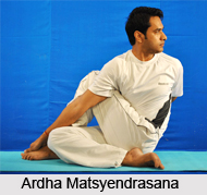 Yoga for Obesity, Yoga and Health