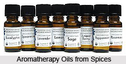 Properties of Aromatherapy Oils