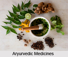 Traditional Indian Medicine in Early Modern Period