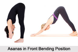 Asanas in Bending Position, Yoga Asanas