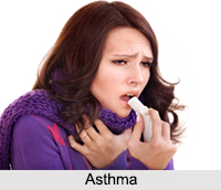 Asthma, Allergic Disease