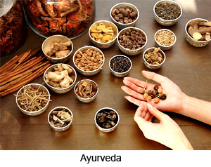 Ayurveda in Muslim Period