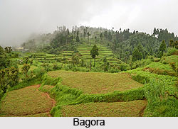 Tourist Places in Kurseong , West Bengal
