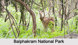National Parks of Meghalaya