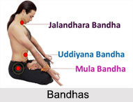 Bandhas, Type of Pranayama