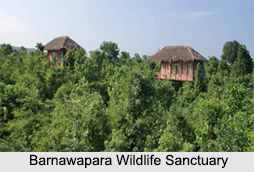 Wildlife Sanctuaries of Chhattisgarh