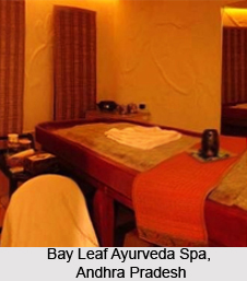 Ayurvedic Spas in Southern India