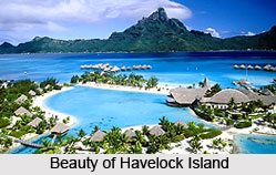 Havelock Island, Andaman Island
