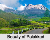 Palakkad, Kerala