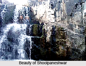 Shoolpaneshwar Wildlife Sanctuary