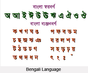 Bengali Language