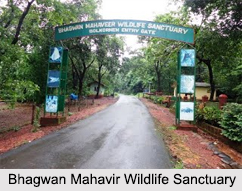 Wildlife Sanctuaries of Goa