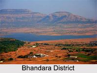 Districts of Nagpur Division, Maharashtra