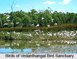 Tourist Places Around Chennai
