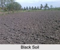 Types of Soils in India, Indian Soil