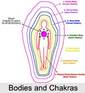 Bodies and Chakras, Yoga