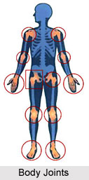 Yoga for Body Joints, Yoga and Health