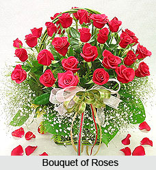 Roses, Indian Flower