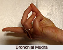 Bronchial & Asthma Mudra