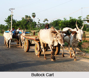 Indian Village Transport