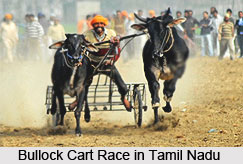 Sports Tourism in India