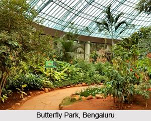 Butterfly Parks in India