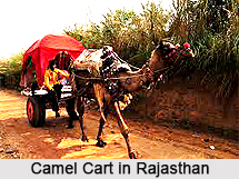 Transport in Rajasthan
