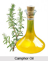 Camphor Oil