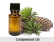 Cedarwood Oil