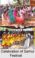 Sarhul Festival, Jharkhand