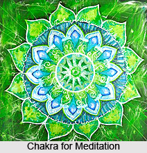 Seven Hearts , Chakra System