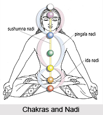 Yoga Exercises of Mooladhara Chakras