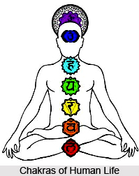Exercise For The Emotional Body , Chakras
