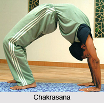Chakrasana