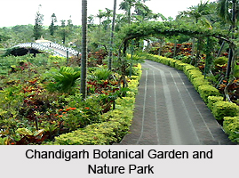 Botanical Garden and Nature Park, Chandigarh