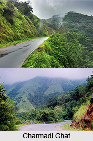Charmadi Ghat, Dakshina Kannada District, Karnataka