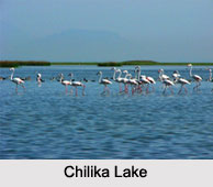 Estuaries of India