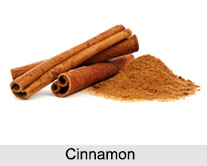 Types of Spice