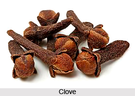 Clove