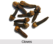 Clove Oil