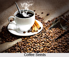 Coffee, Indian crop