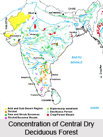 Central Deccan Plateau Dry Deciduous Forests in India