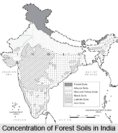 Forest Soils in India