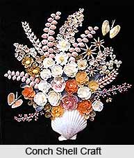 Shell Craft