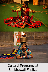 Shekhawati Festival