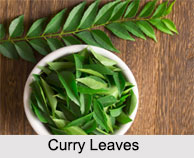 Curry Leaves, Types of Spices